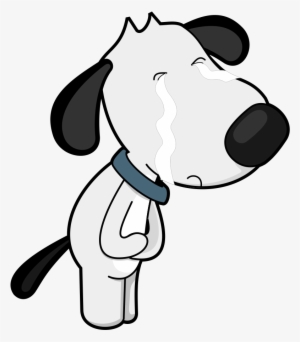 Types And Symptoms Of Pancreatitis - Dog
