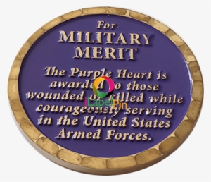 Army Challenge Coin Factory Customized Coins - Badge