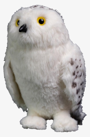 Hedwig 8” Plush - Hedwig