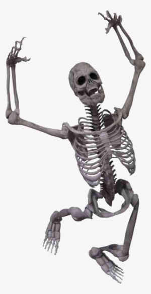Skeleton Png - Skeleton Transparent