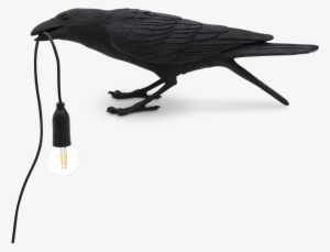 Bird Lamp Playing Black - Seletti Bird Lamp