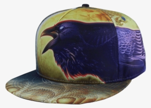 Raven Fitted Hat - Hawk