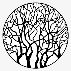 Leafless Trees