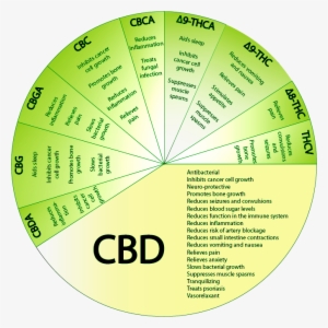 Cannabinoids2 - Cannabinoids Benefits