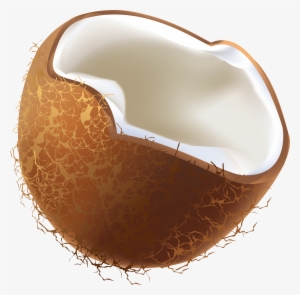 Coconut Vector