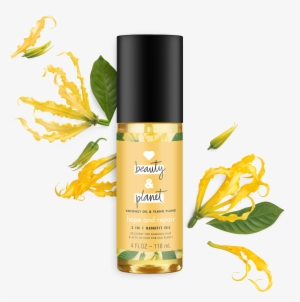 Love Beauty And Planet Coconut Oil & Ylang Ylang Hair - Ylang Ylang Oil Benefit