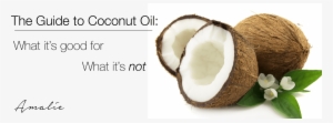 The Definitive Guide To Coconut Oil