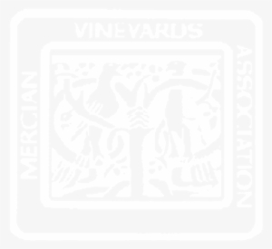 Mercian Vineyards Association - Grapevine