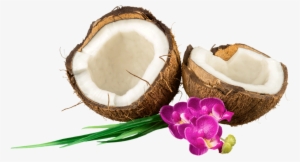 New Ways To Use Coconut Oil - Tropical Climate