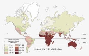 Mapamundi Con La Distribución Del Color De La Piel - World Map Chocolate