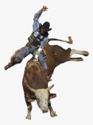 Picture - Bull Riding Cut Out
