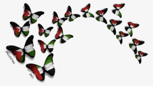 Uae And Palestine - Uae Flag Butterfly Png