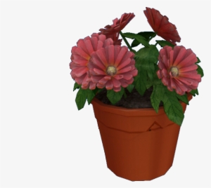 Download Zip Archive - Common Zinnia