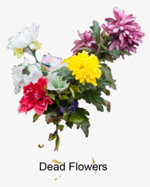 Portfolio - Bouquet
