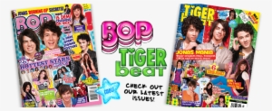 Tiger - Bop Magazine