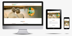 Cedarspring - Online Advertising