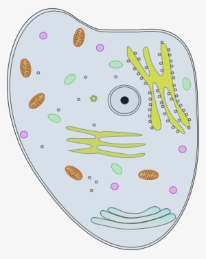 Happy Cell Clip Art - Animal Cell Clip Art