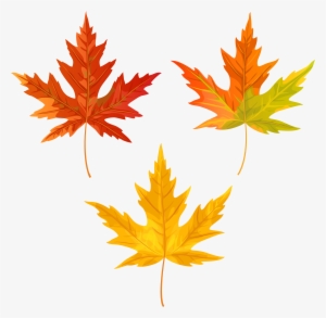 Fall Leaves Png Clip Art Image, Is Available For Free