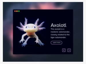 Axolotl Product Card Sketch Freebie - Underwater Creatures