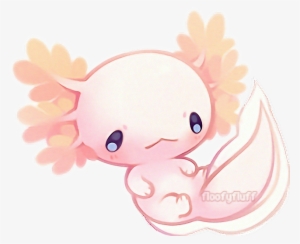 Axolotl Image - Axolotl Cute Drawing Transparent PNG - 500x458 - Free ...