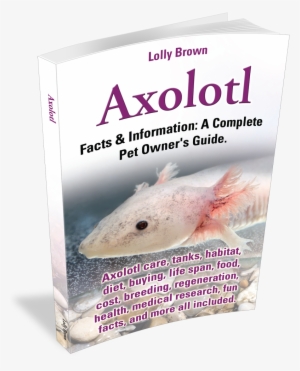 A Complete Pet Owner's Guide - 4 Fun Facts About Axolotls