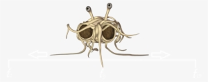 Given - Flying Spaghetti Monster .png