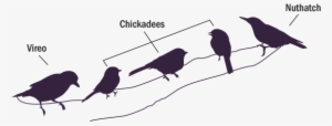 This Allows Them To Keep Up With Changes In Their Flocks - Diagram