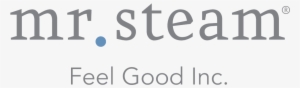 Mr Steam Logo
