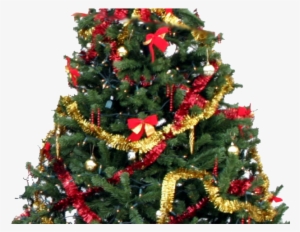 Christmas Tree Png Transparent Images - Home Bargains Christmas Trees