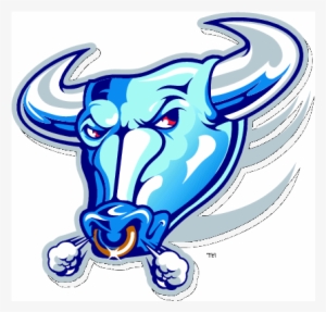 Report - Buffalo Bulls Logo Vector
