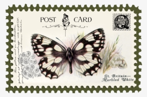Juno Vintage Butterfly Postage Stamp 10 Mat - Stock.xchng