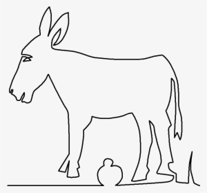 Burro - Donkey