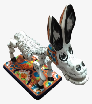 Burro - Rabbit