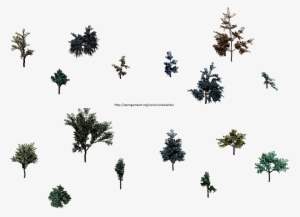 Hjm Small Trees 1 Alpha - Sabal Palmetto