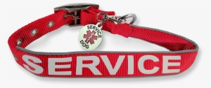 Service Dog Collar Tag - Dog