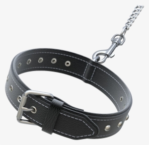 Dog Collar Png - Dog Belt Png Hd