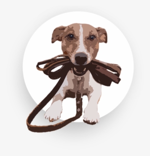 Are You Struggling To Find Pet Sitters And Dog Walkers - Dog Going For Walk