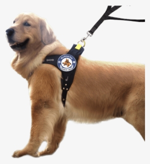 Chukchi Dog Chain Rope Large Dog Leash Dog Chest Strap - Obojek Pro Zlatého Retrívra