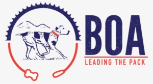 Boa Dog Leashes - R1563 Uniweld Brazing Torch Regulator