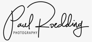 Cropped Paul Roedding Black High Res 1 - Calligraphy