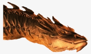 Smaug Is The Fire-breathing Dragon From J - Drogon