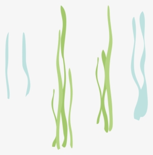 Reeds-2x - Calligraphy
