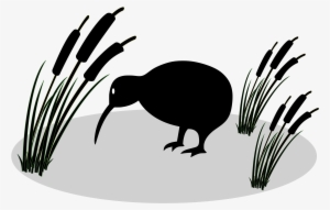 This Free Icons Png Design Of Kiwi And Reed