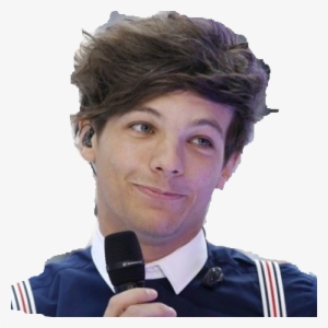 Louis Tomlinson Transparent Tumblr I Just Found It - One Direction Hair  Meme Transparent PNG - 374x374 - Free Download on NicePNG