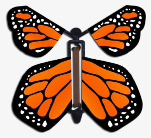Orange Monarch Wind Up Flying Butterfly - Flying Butterfly Card