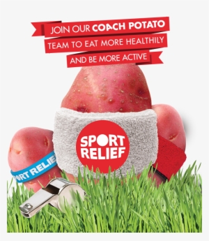 This Competition Has Now Ended - Official Sport Relief 2012 Sweatband - Brand