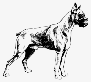 Dog Clip Art At Clker - Perros Boxer Para Colorear