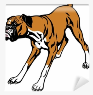 Boxer Dog Vector