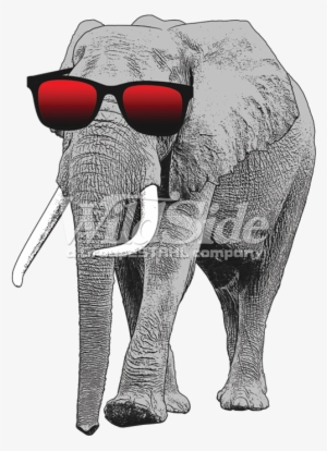 Elephant With Sun Glasses - Elephant With Sunglasses