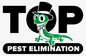 Top Pest Elimination